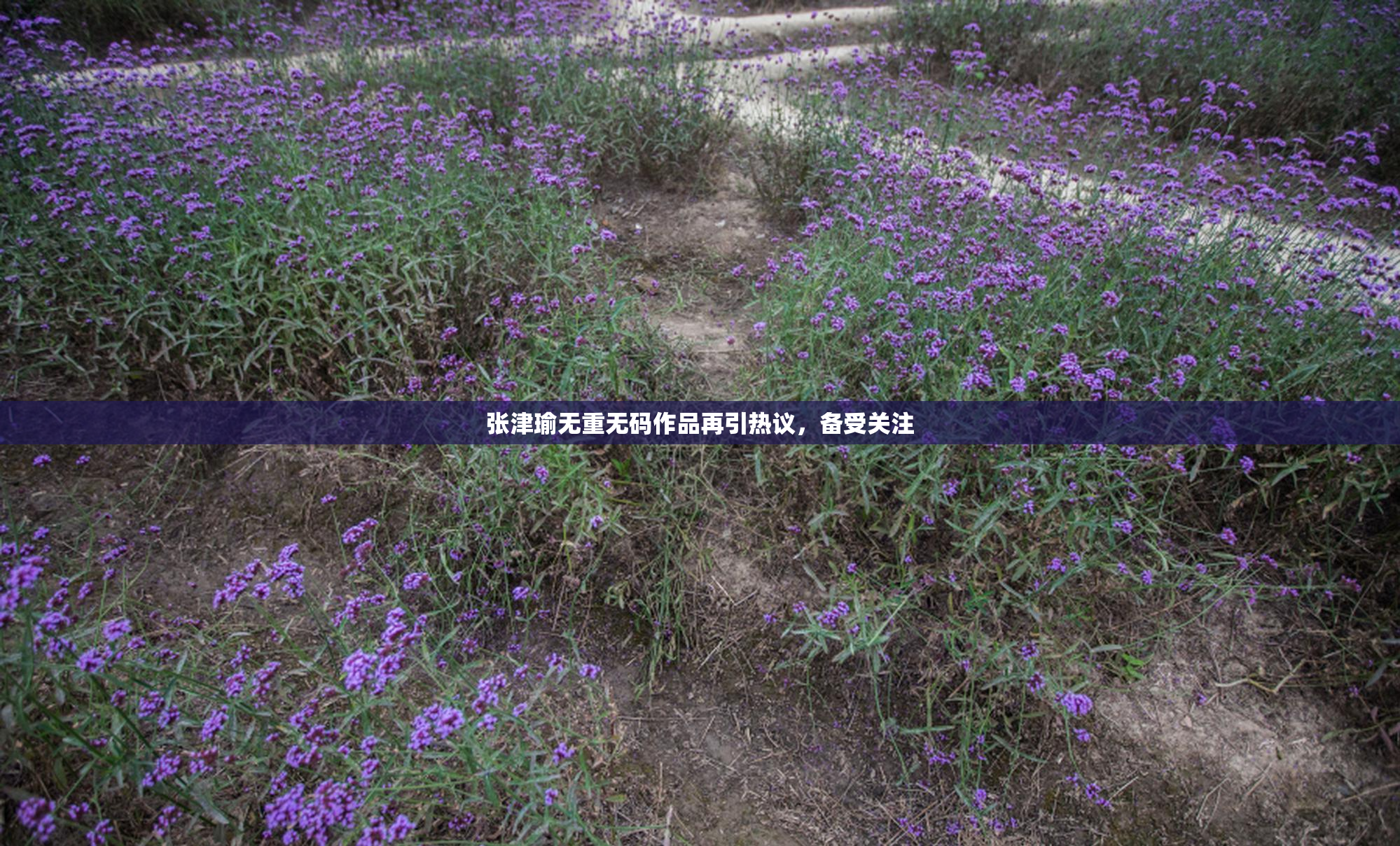 张津瑜无重无码作品再引热议，备受关注