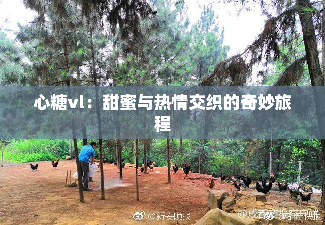 心糖vl：甜蜜与热情交织的奇妙旅程