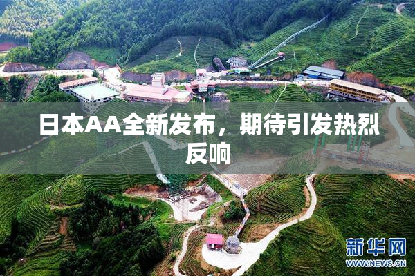 日本AA全新发布，期待引发热烈反响