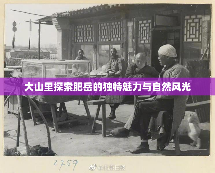 大山里探索肥岳的独特魅力与自然风光