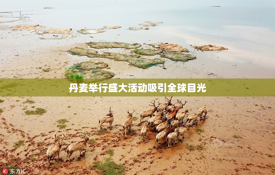 丹麦举行盛大活动吸引全球目光