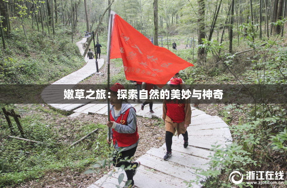 嫩草之旅：探索自然的美妙与神奇