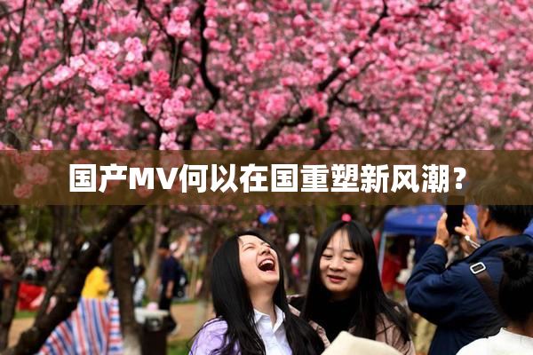 国产MV何以在国重塑新风潮？