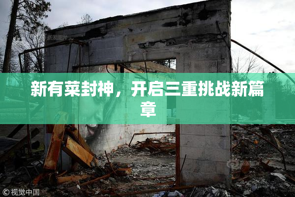 新有菜封神，开启三重挑战新篇章