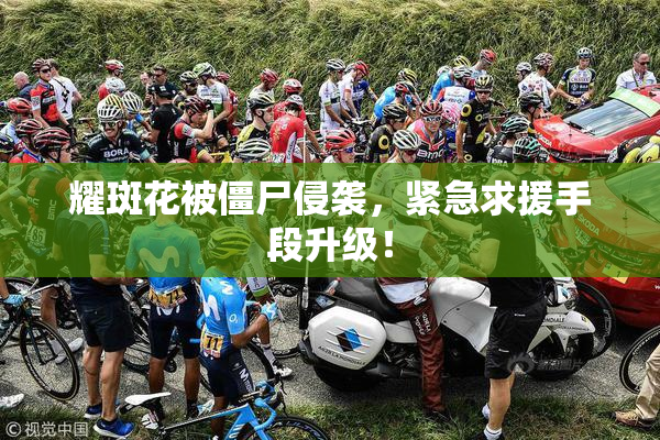 耀斑花被僵尸侵袭，紧急求援手段升级！