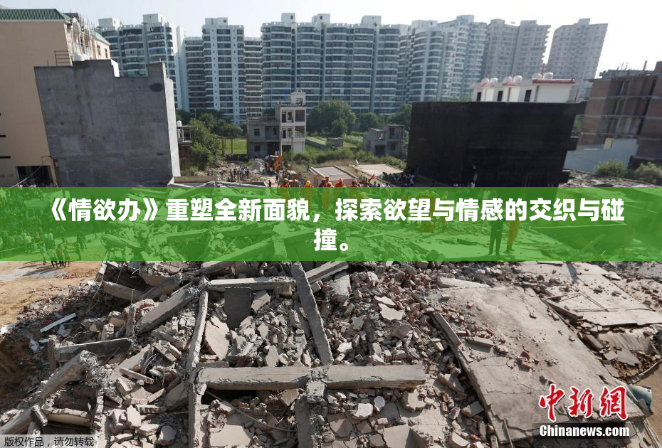 《情欲办》重塑全新面貌，探索欲望与情感的交织与碰撞。