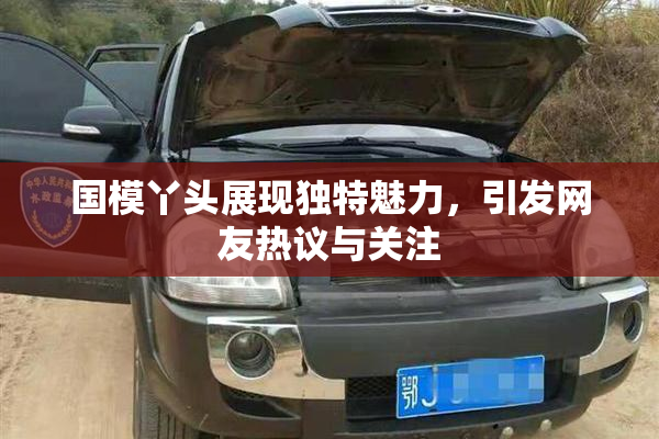 国模丫头展现独特魅力，引发网友热议与关注