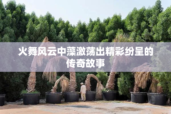 火舞风云中藻激荡出精彩纷呈的传奇故事