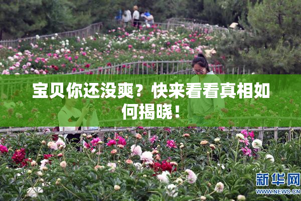 宝贝你还没爽？快来看看真相如何揭晓！