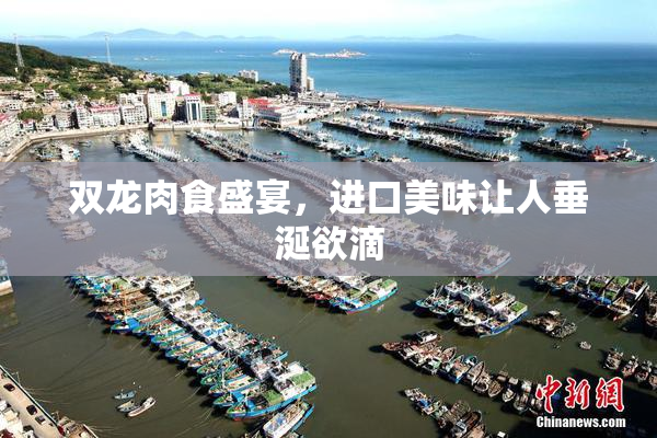 双龙肉食盛宴，进口美味让人垂涎欲滴