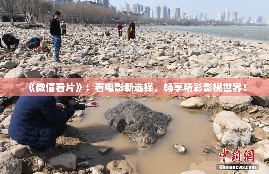 《微信看片》：看电影新选择，畅享精彩影视世界！