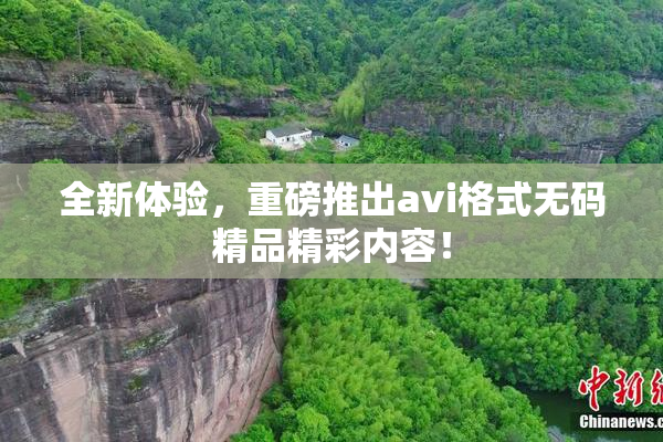 全新体验，重磅推出avi格式无码精品精彩内容！