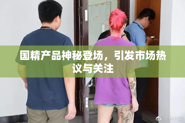 国精产品神秘登场，引发市场热议与关注