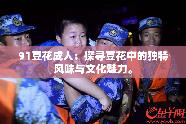 91豆花成人：探寻豆花中的独特风味与文化魅力。