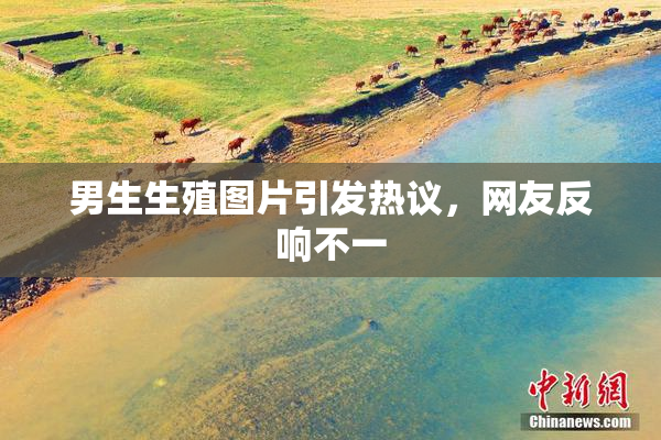 男生生殖图片引发热议，网友反响不一