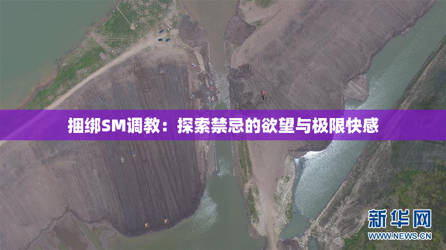 捆绑SM调教：探索禁忌的欲望与极限快感