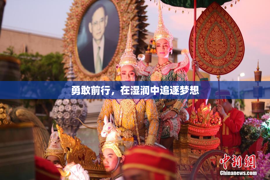 勇敢前行，在湿润中追逐梦想