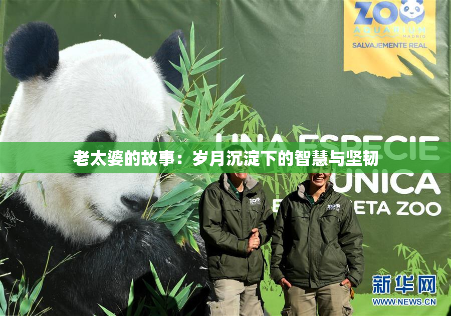 老太婆的故事：岁月沉淀下的智慧与坚韧