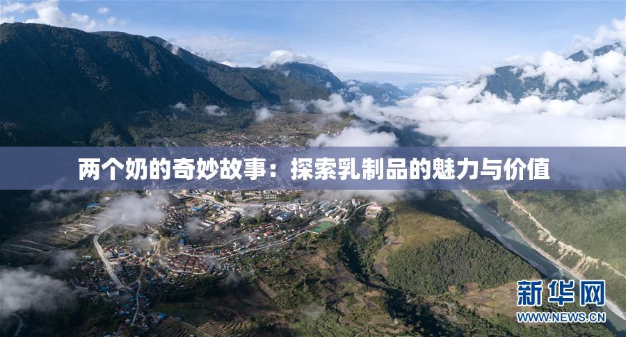 两个奶的奇妙故事：探索乳制品的魅力与价值