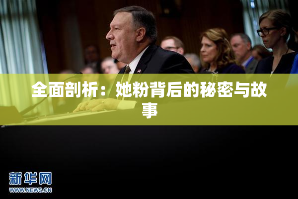 全面剖析：她粉背后的秘密与故事