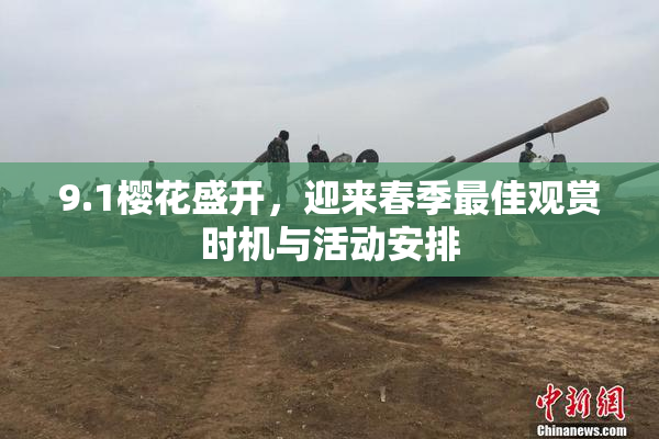 9.1樱花盛开，迎来春季最佳观赏时机与活动安排