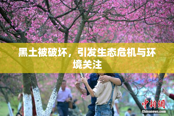 黑土被破坏，引发生态危机与环境关注