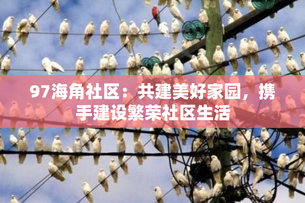 97海角社区：共建美好家园，携手建设繁荣社区生活