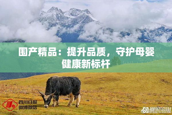 围产精品：提升品质，守护母婴健康新标杆