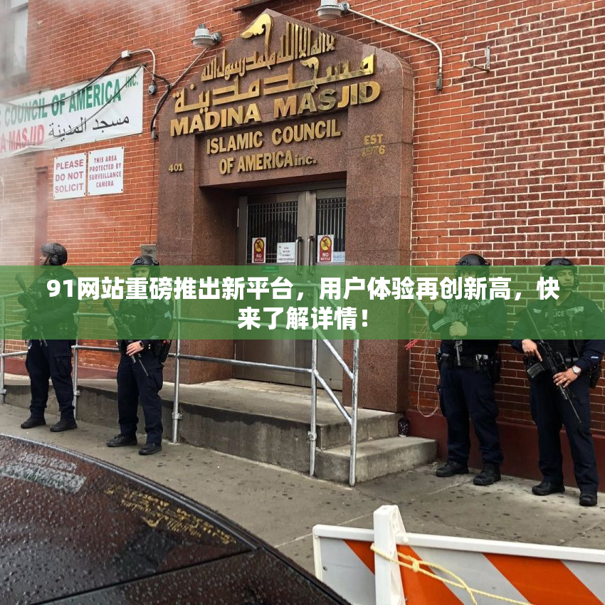 91网站重磅推出新平台，用户体验再创新高，快来了解详情！