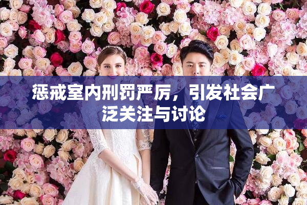 惩戒室内刑罚严厉，引发社会广泛关注与讨论