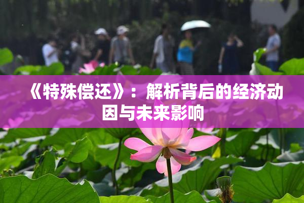 《特殊偿还》：解析背后的经济动因与未来影响