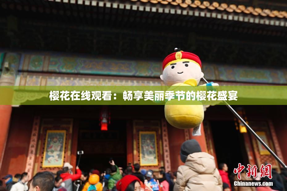 樱花在线观看：畅享美丽季节的樱花盛宴