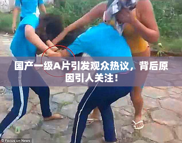 国产一级A片引发观众热议，背后原因引人关注！