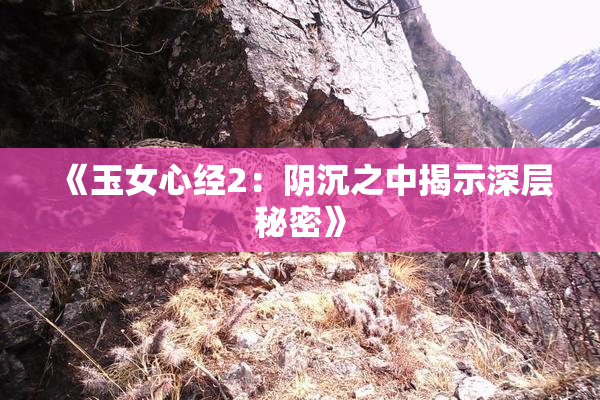 《玉女心经2：阴沉之中揭示深层秘密》