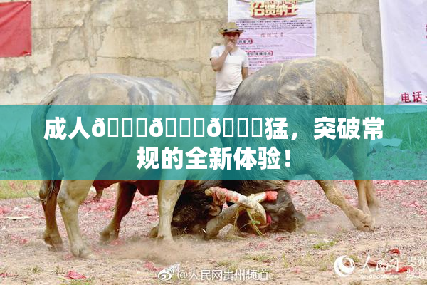 成人🍆🍑🔞猛，突破常规的全新体验！