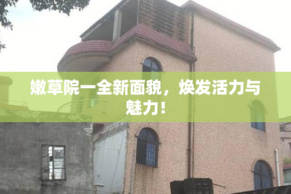 嫩草院一全新面貌，焕发活力与魅力！