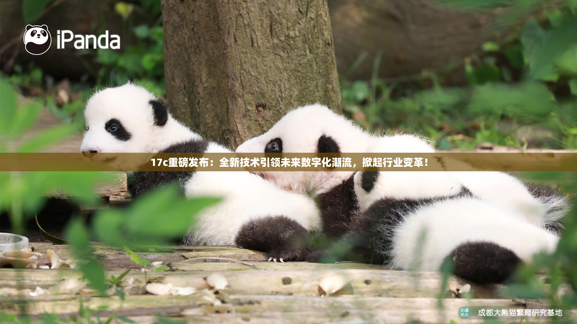 17c重磅发布：全新技术引领未来数字化潮流，掀起行业变革！