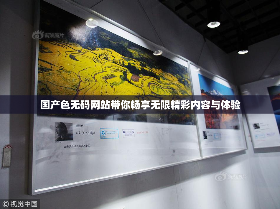 国产色无码网站带你畅享无限精彩内容与体验