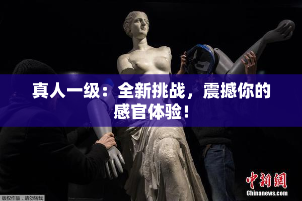真人一级：全新挑战，震撼你的感官体验！