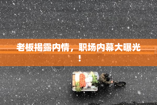 老板揭露内情，职场内幕大曝光！