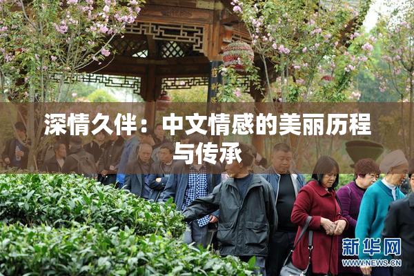 深情久伴：中文情感的美丽历程与传承