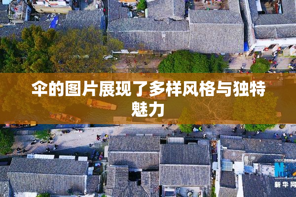伞的图片展现了多样风格与独特魅力