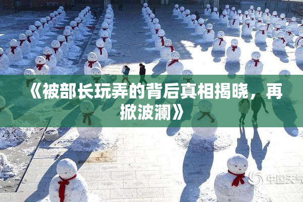 《被部长玩弄的背后真相揭晓，再掀波澜》