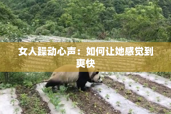 女人躁动心声：如何让她感觉到爽快