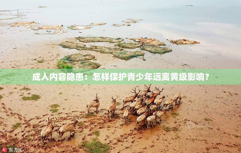 成人内容隐患：怎样保护青少年远离黄级影响？