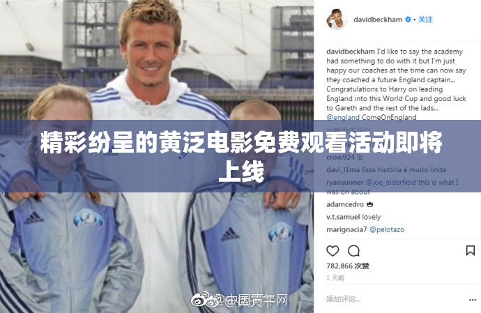 精彩纷呈的黄泛电影免费观看活动即将上线