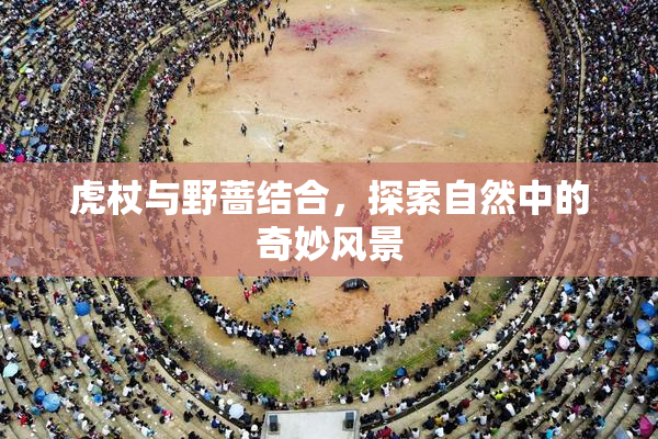 虎杖与野蔷结合，探索自然中的奇妙风景