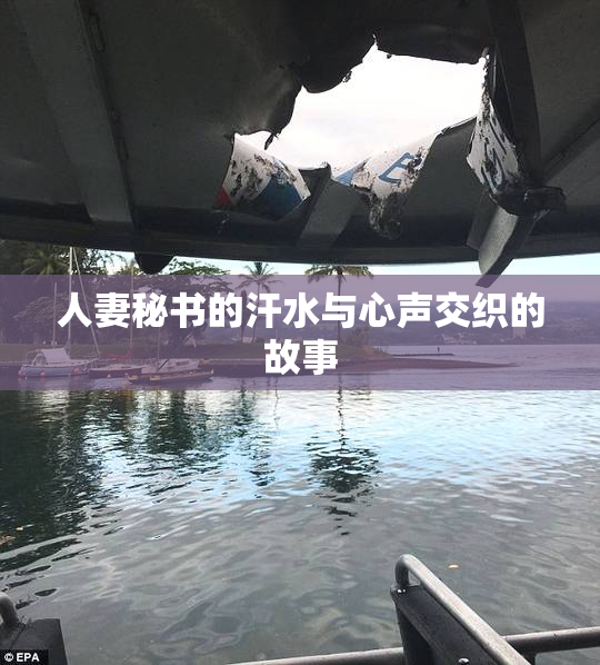 人妻秘书的汗水与心声交织的故事