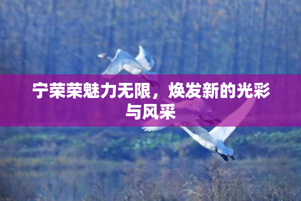 宁荣荣魅力无限，焕发新的光彩与风采