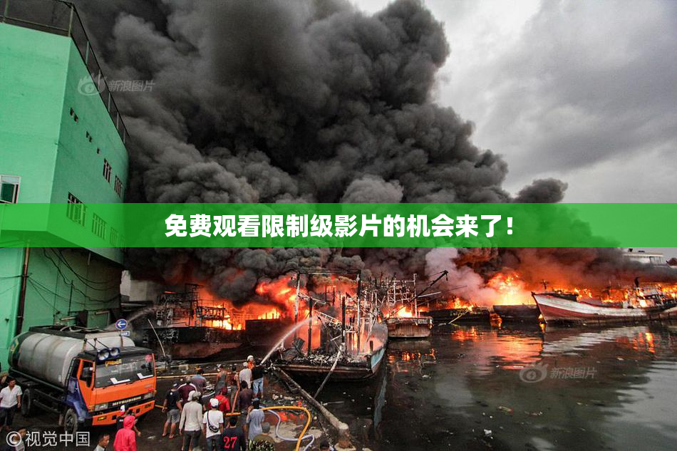 免费观看限制级影片的机会来了！